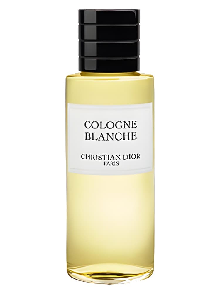 Cologne Blanche