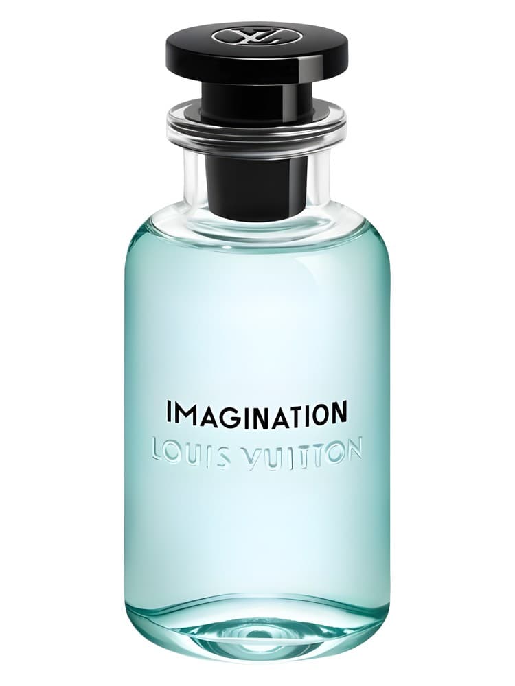 Imagination