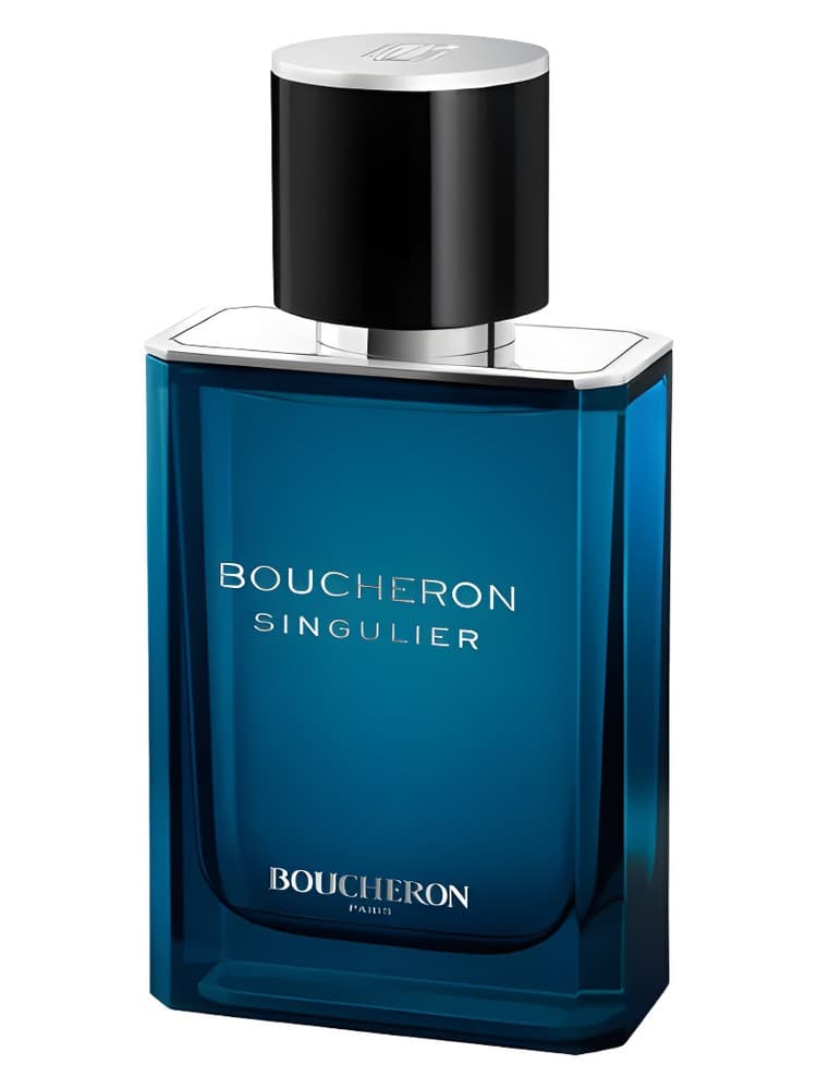 Boucheron Singulier