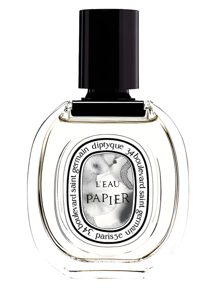 L Eau Papier
