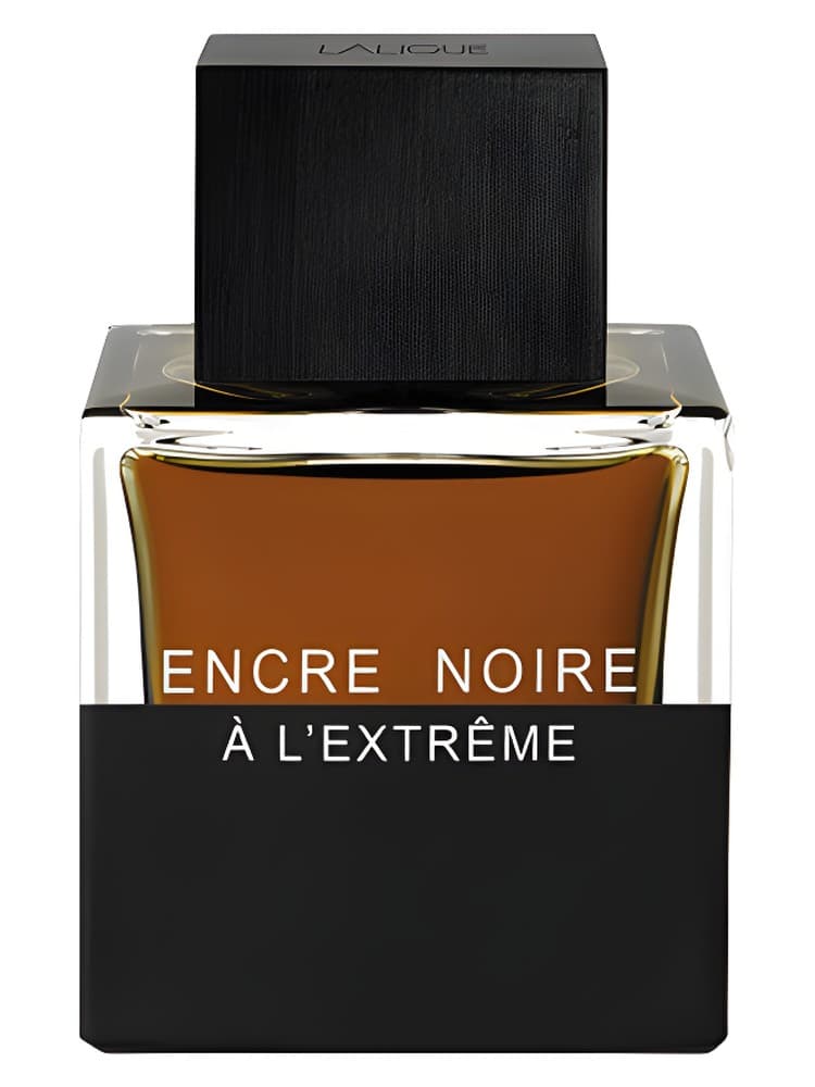 Encre Noire A L Extreme
