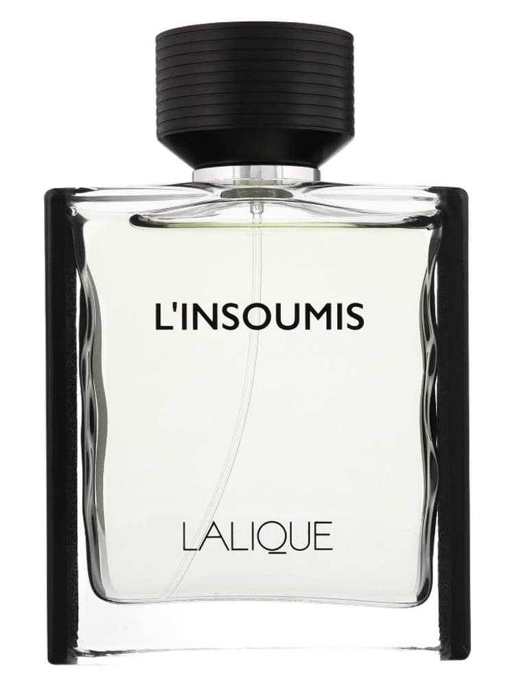 L Insoumis