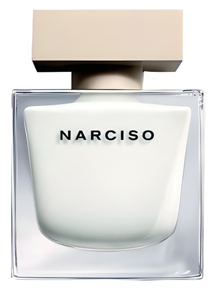 Narciso