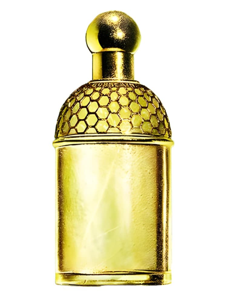 Aqua Allegoria Laurier Reglisse