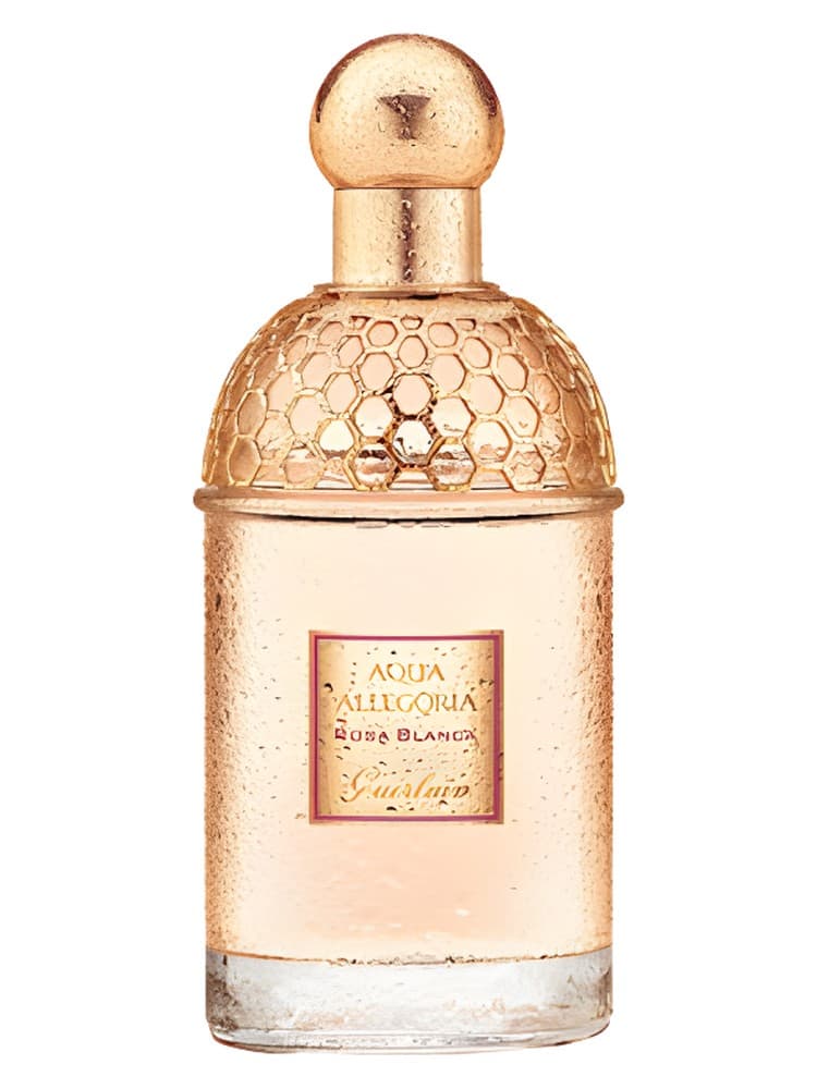 Aqua Allegoria Rosa Blanca