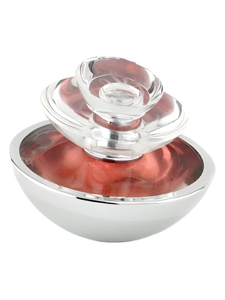 Insolence Shimmering Edition