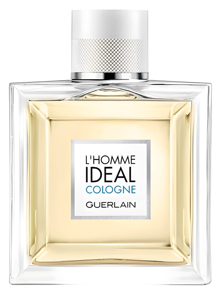 L Homme Ideal Cologne