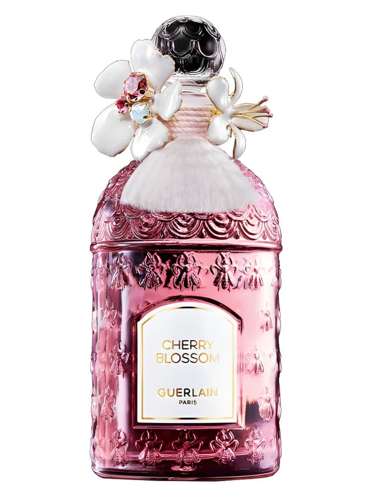 Cherry Blossom Millesime 2024