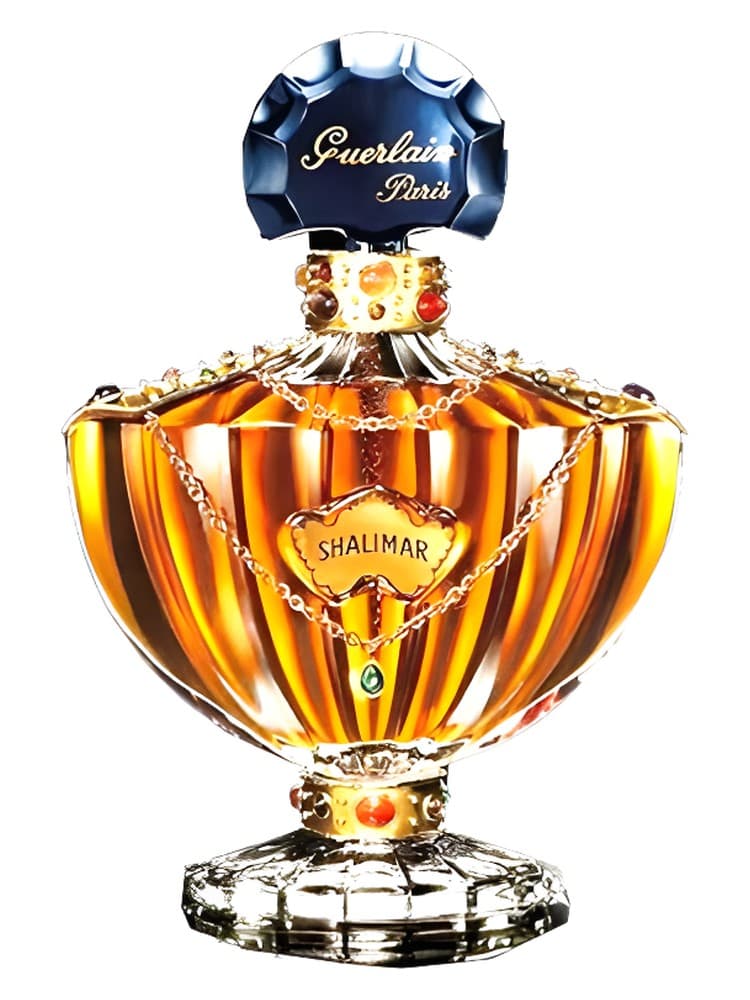 Shalimar Indes Merveilles