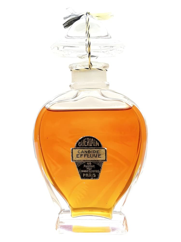Candide Effluve