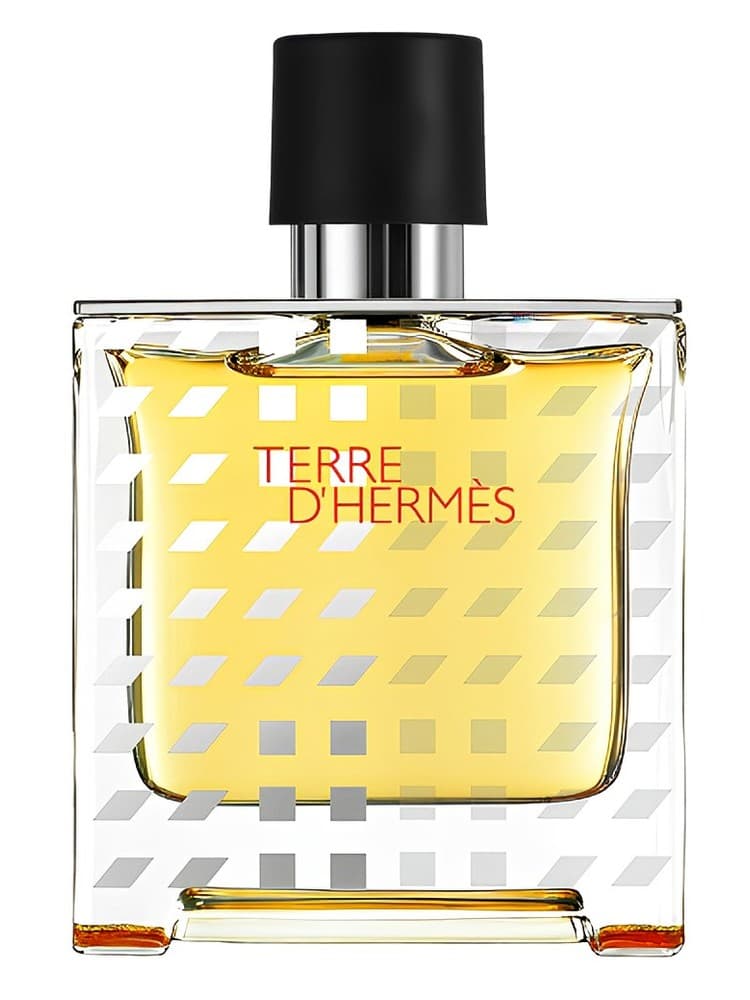 Terre d Hermes Flacon H 2019 Parfum