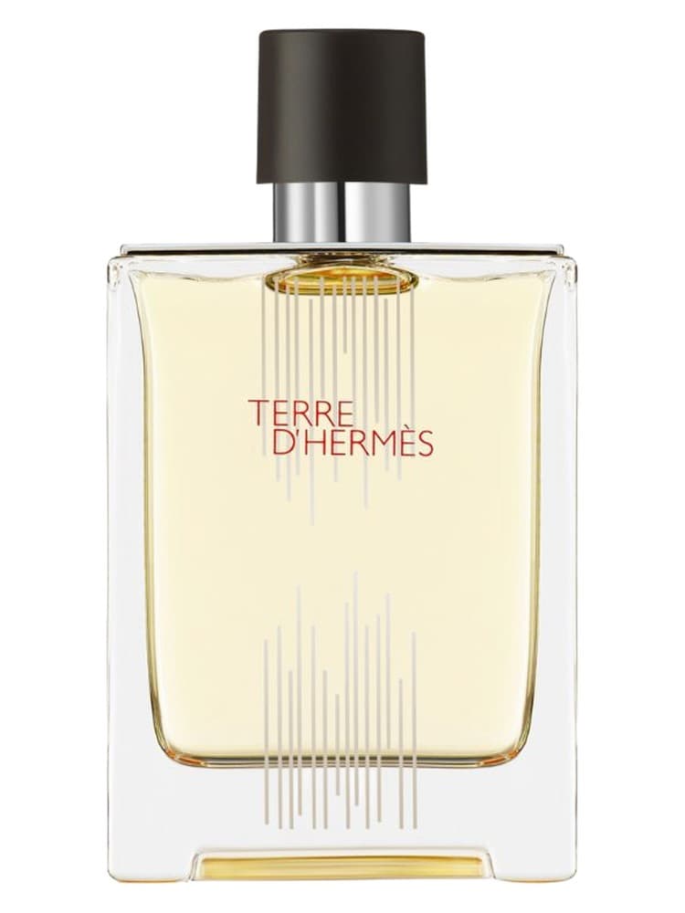 Terre d Hermes Flacon H 2021 Eau de Toilette