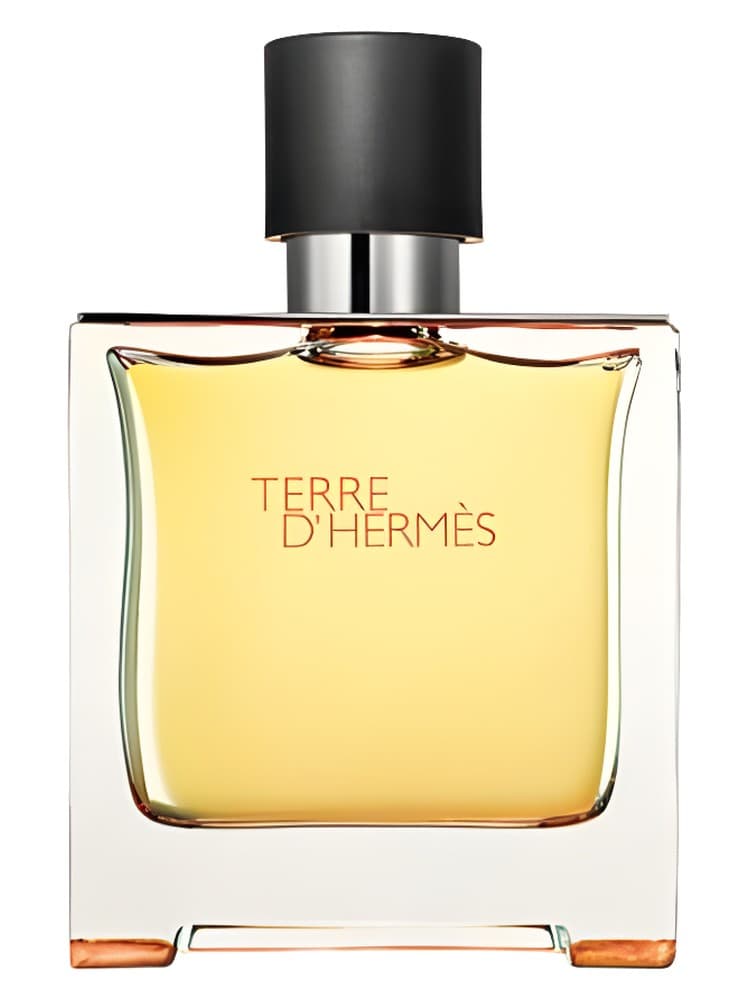Terre d Hermes Parfum