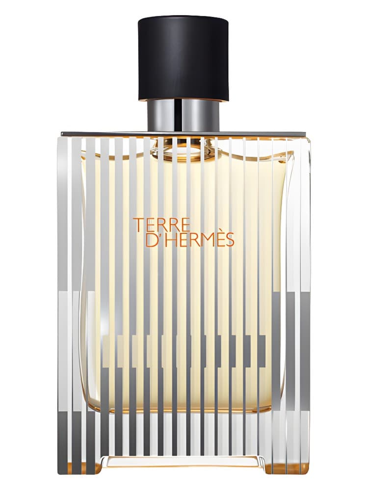 Terre d Hermes Flacon H 2009