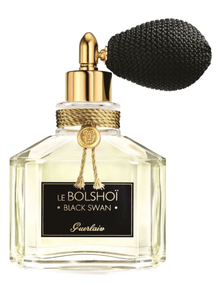 Le Bolshoi Black Swan